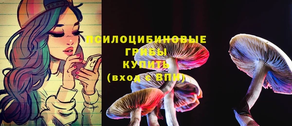 дмт Магадан