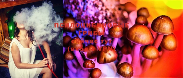 дмт Магадан