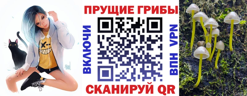 где купить наркоту  Хилок  Галлюциногенные грибы мицелий 